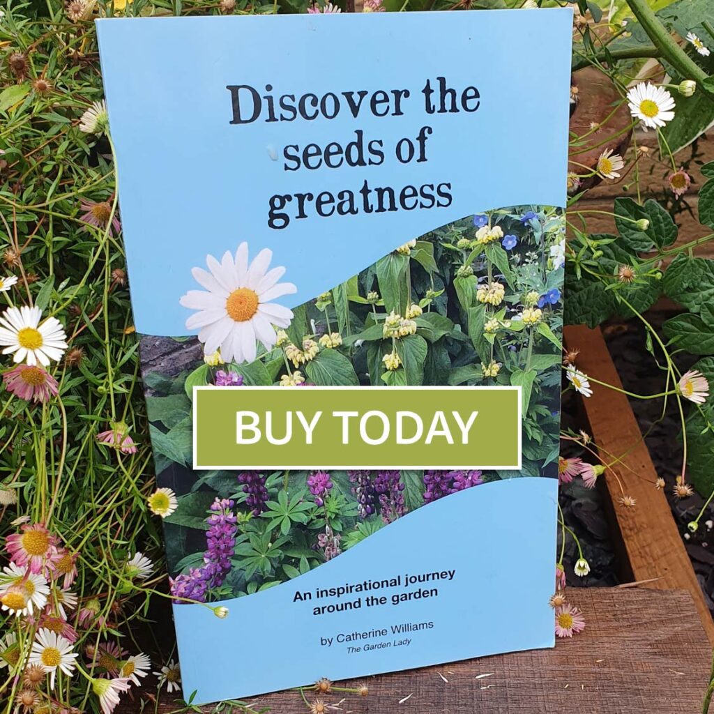 Discover the Seeds of Greatness