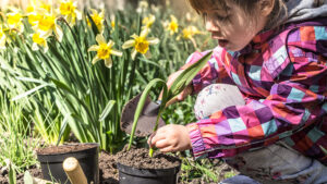 little-girl-planting-flowers-garden