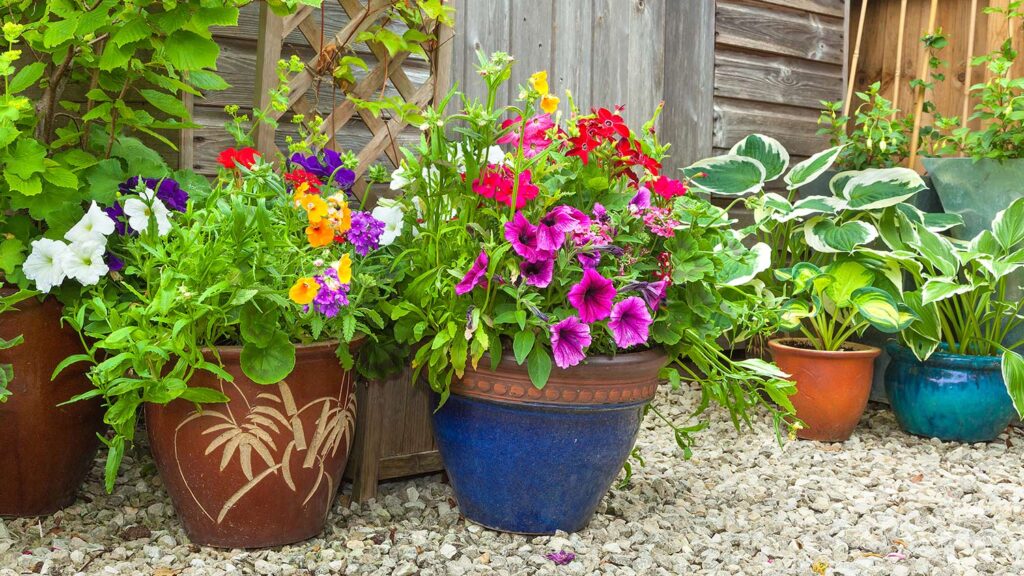 What is a Low Maintenance Garden?