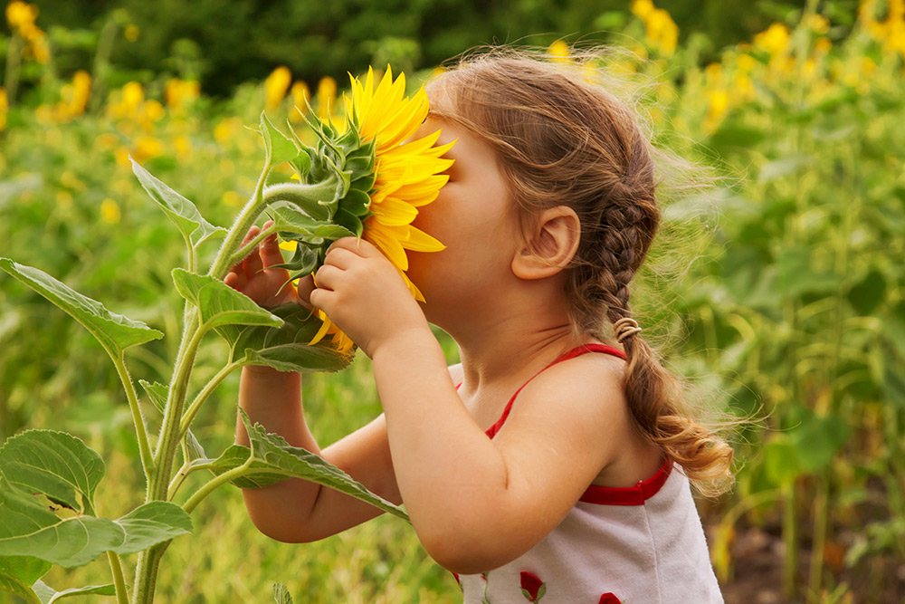 Creating-Family-Friendly-Garden