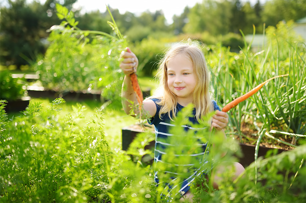 child-friendly-gardens