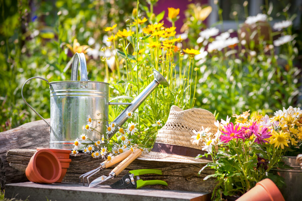 August Gardens making the most of it