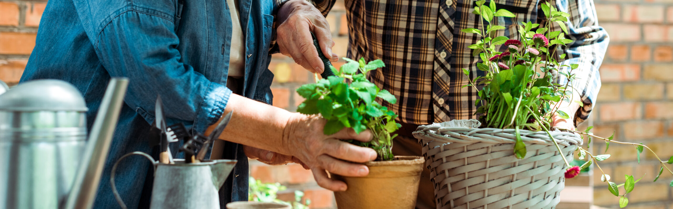 Gardening Help for Pensioners as You Get Older Nurturing Your Garden with Grace and Adaptation