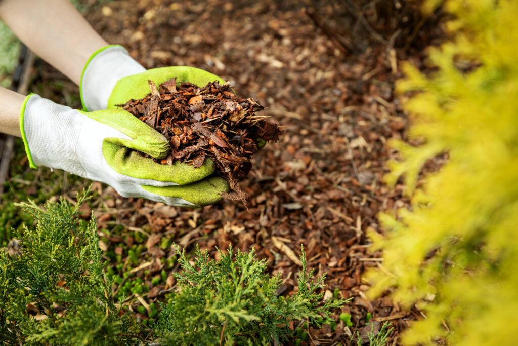 Make your own mulch for a fantastic Garden with The Garden Lady Gloucestershire